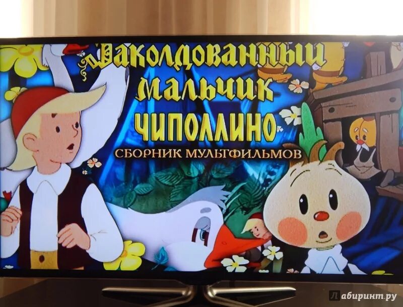 Сборник мультфильмов крупный план. Чиполлино заколдованный мальчик диск. dvd союзмультфильм чиполлино заколдованный мальчик. чиполлино заколдованный мальчик сборник мультфильмов dvd. диск заколдованный мальчик.