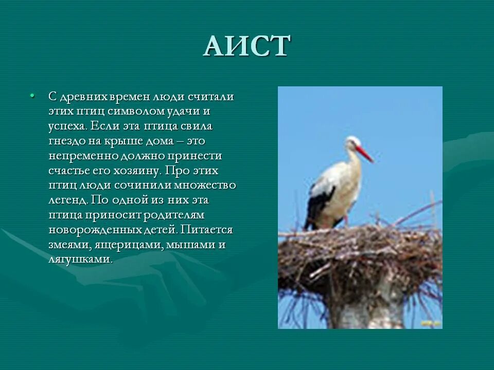 Почему аист. Почему аист