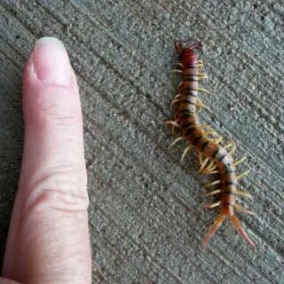 Crawling around
