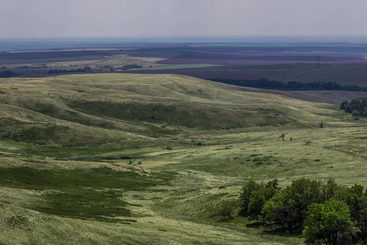просторы оренбуржья бескрайние оренбуржья щима нарисовать. фото просторы верхнеуральске. первомайский степные просторы. оренбургские просторы. степь и ветер оренбург.