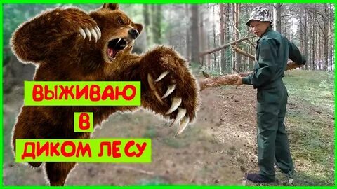 Диких лесах выжить