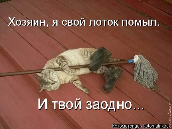 Хозяин я с тобой. Хозяин я с тобой