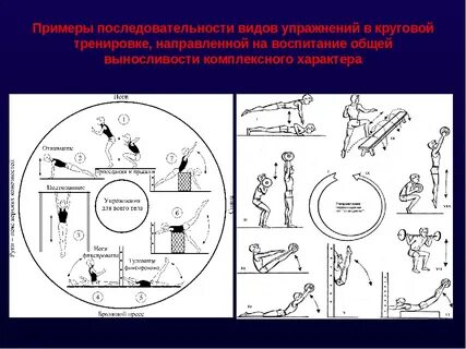 Круговая тренировка на уроках физической культуры