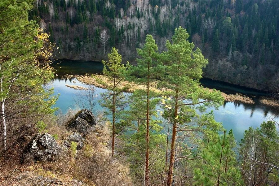 Город сим челябинская область. Сеть магазинов сим сим. Город сим челябинская область. Логотипы билайн мтс и tele2. Магазин сим-сим детский.