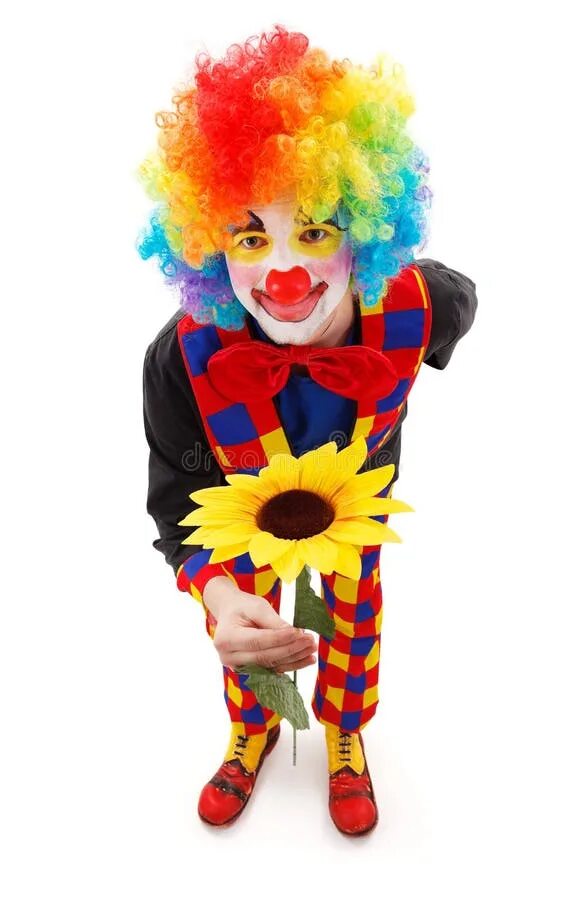 Клоун с цветами. Клоун дарит цветы. Клоун с цветком. Цветы веселый клоун.