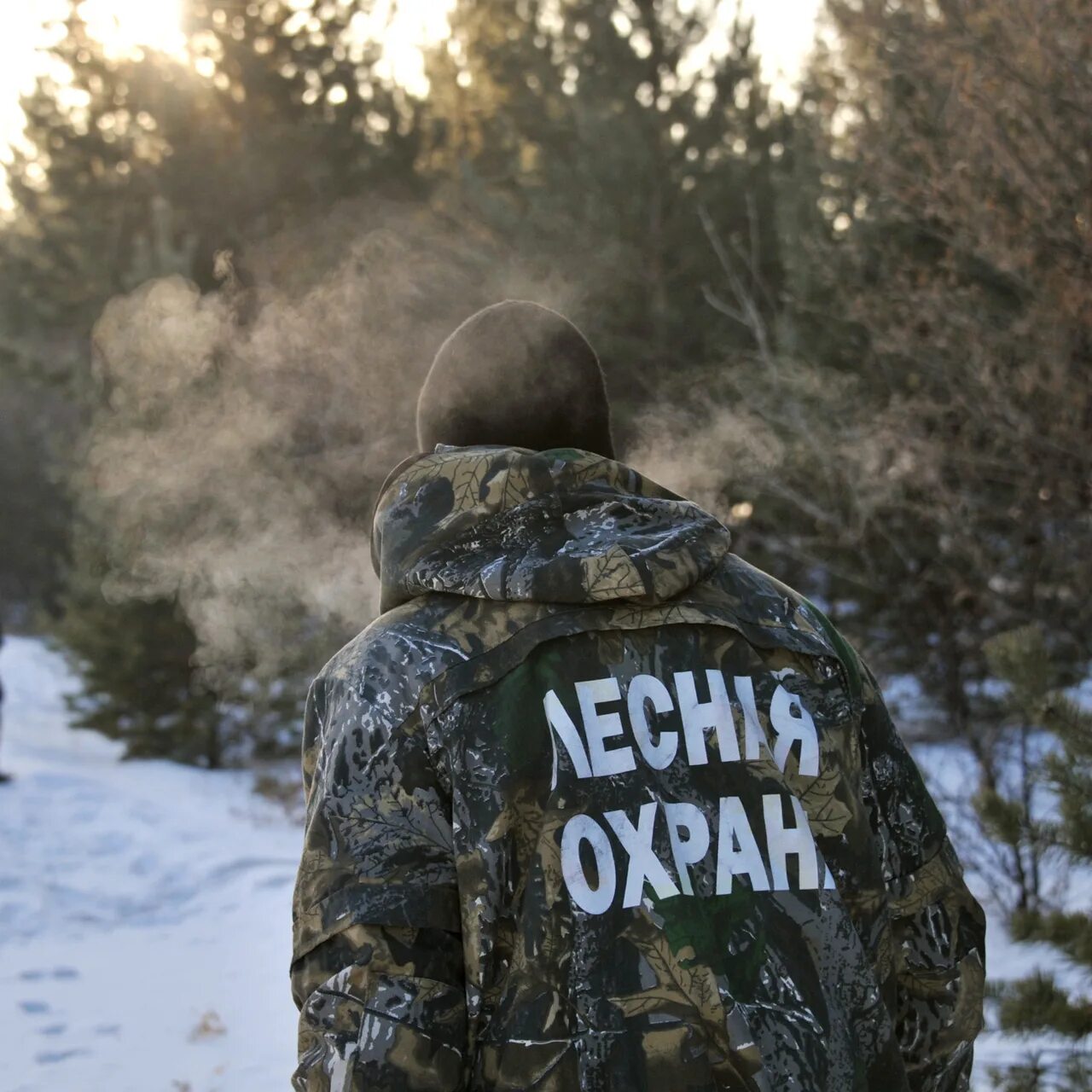 Охране ели