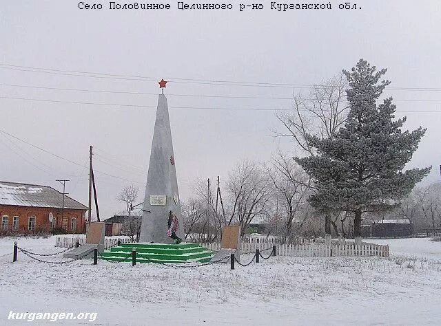 Целинное курганская область погода на неделю. Курганская область Целинный район село Половинное. Школа Половинное район Курганская область. Половинка Половинский район Курганская область. Курганская область Целинный район село Михалево.