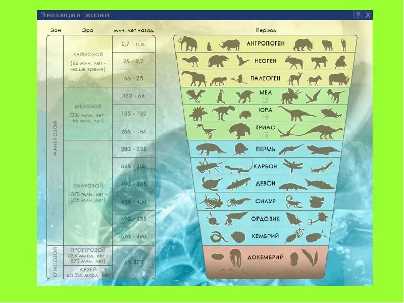 Жизнь в воде эволюция. Эволюция жизни. Эволюционные периоды. Эра энциклопедия. Эволюция жизни панорама.