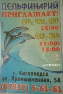 Дельфинарий курортное расписание