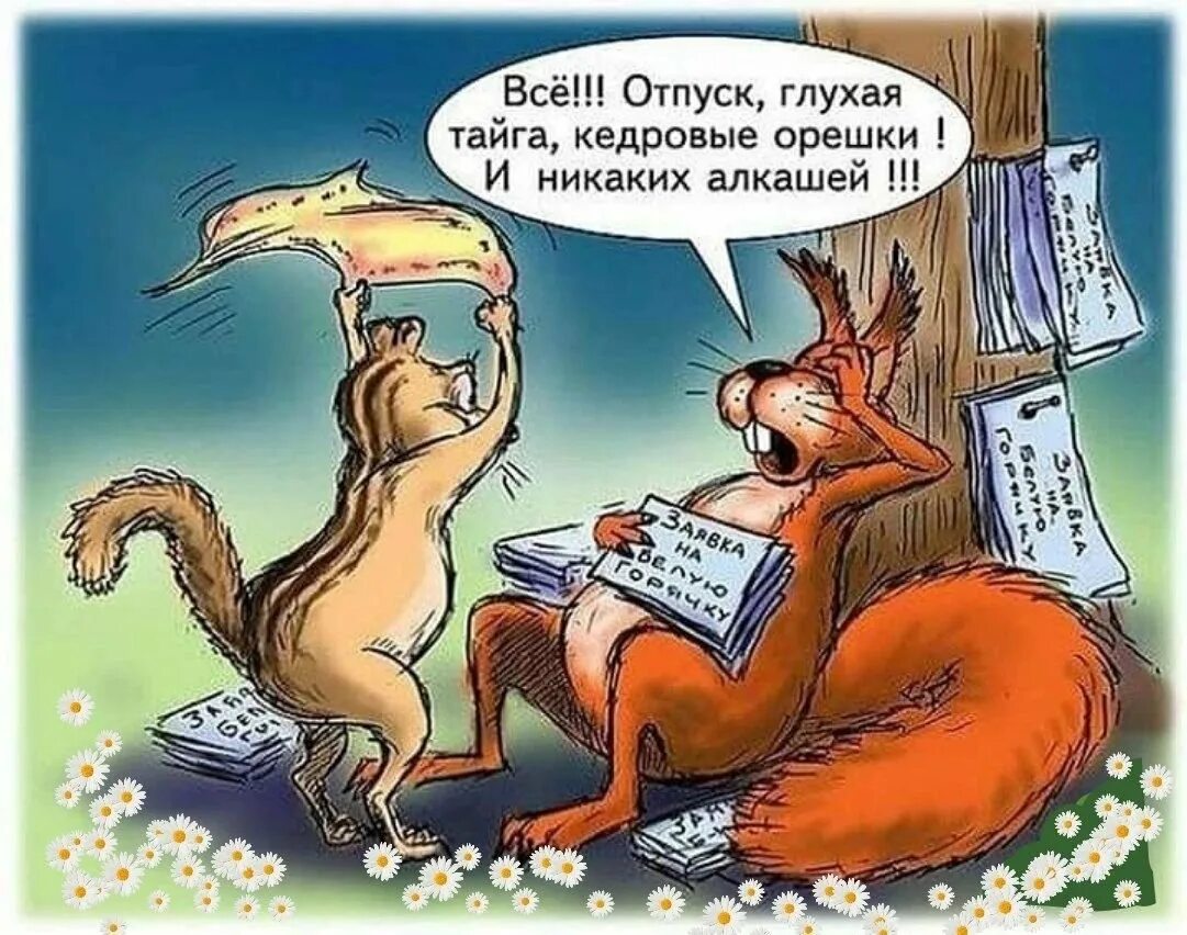 Как говорит белка. Шутки про белочку. Анекдот про белку. Карикатуры про белку. Приколы про белок.