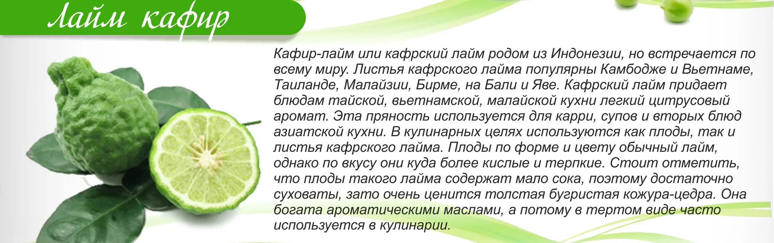 Кафир что это. Чем полезен лайм. Каффир-лайм. Чем полезен лайм для организма.