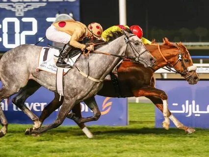 The horse won the race