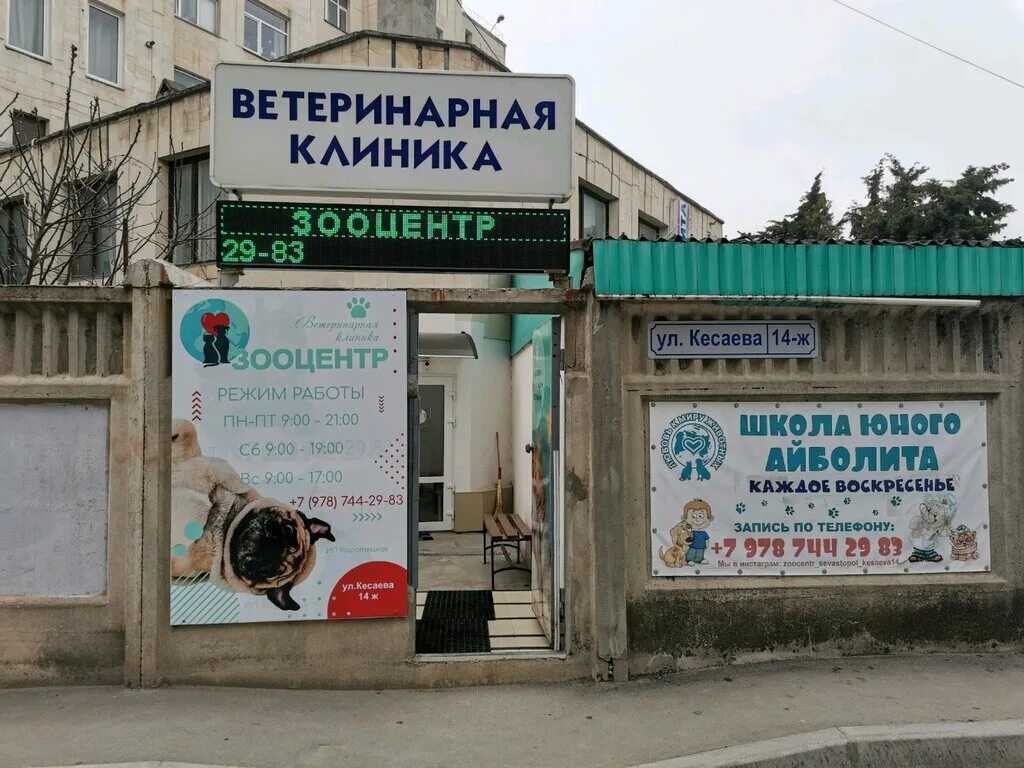 Ветклиника севастополь телефон. «севастопольский ветеринарный центр». Ветклиники севастополь. Ветклиника севастополь телефон. Ветклиники севастополь.