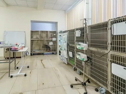 Прайд минеральная 32 ветеринарная