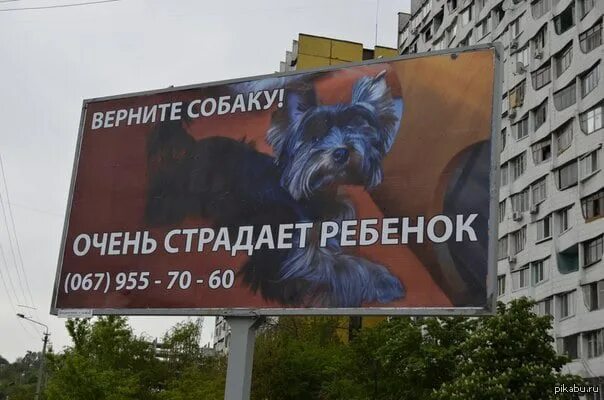 Псы возвращающий