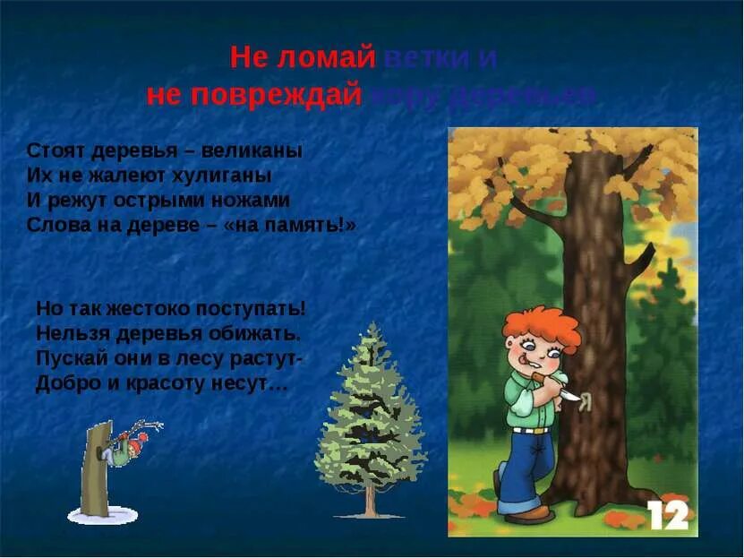 Смотрю как деревья растут. Правила поведения в лесу деревья. Лес опасности в лесу. Правила поведения в лесу не ломай деревья. Ломают ветки в лесу.