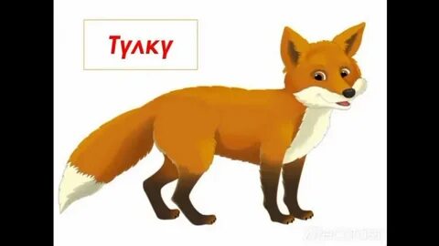 Лас әйелдермен порно