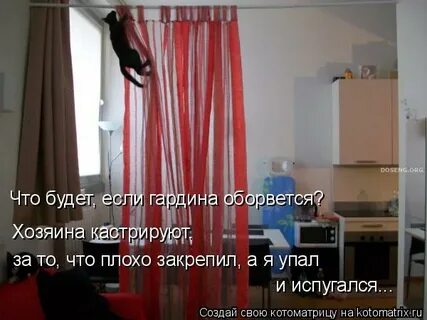 Иногда домашний