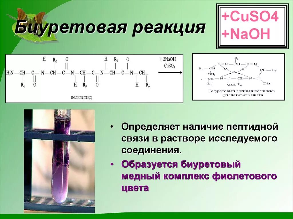 Cuso4 naoh hci. Биуретовая реакция с глицином. Биуретовая реакция белок реакция. Биуретовая реакция белков реакция. Биуретовая реакция на пептидную связь.