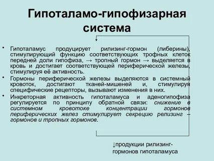 Название гормонов гипоталамуса