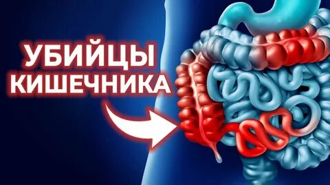 Кишечный дом