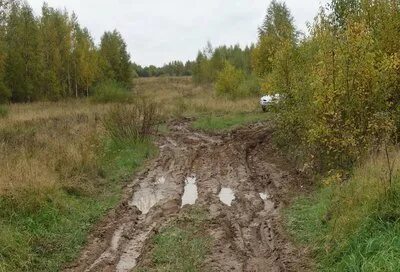 Рп5 березовский