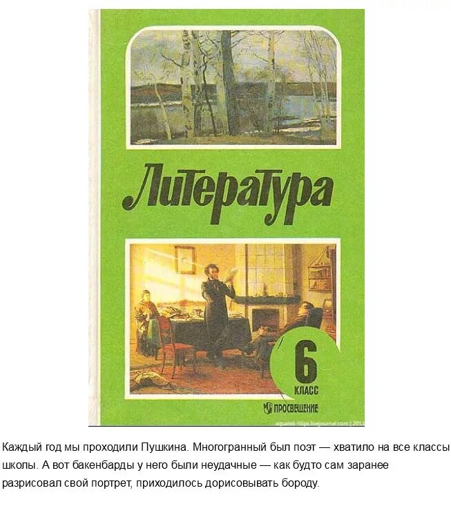 Учебник литературы 6 класс СССР. Учебник по литературе 6 класс СССР. Старые учебники по литературе. Литература старый учебник. Советский учебники читать