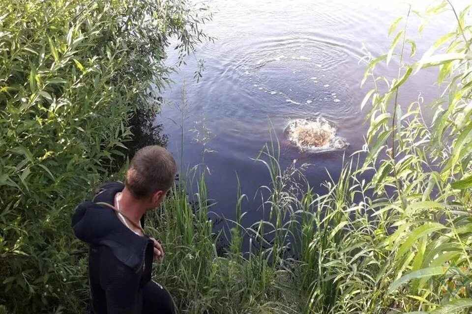 Утону я в западной двине. Падает ли вода в реке Ипуть. Река Ипуть фото.