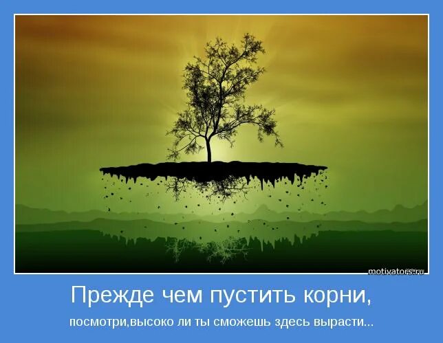 Мудрость есть корень. Мотиваторы. Экологические мотиваторы. Картинка мотиватор про деревья. Дерево мотиваторов.