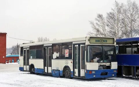 Новые автобусы анжеро судженск