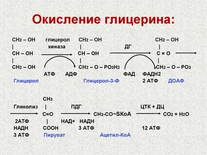 Пвк до углекислого газа