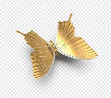 Золотая бабочка картинка