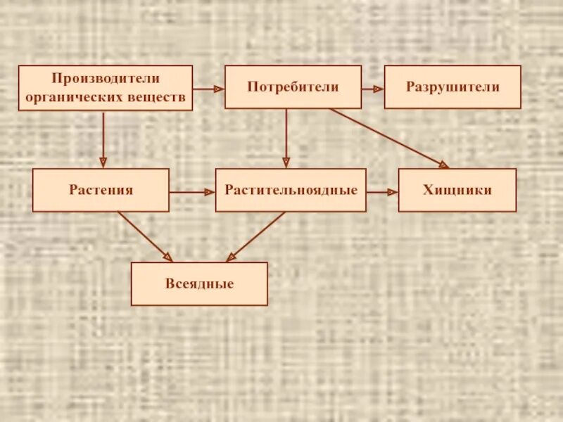 Растения производители органического вещества. Производители потребители и Разрушители органических. Производители органических веществ. Потребители органических веществ. Разлагатели органического вещества.