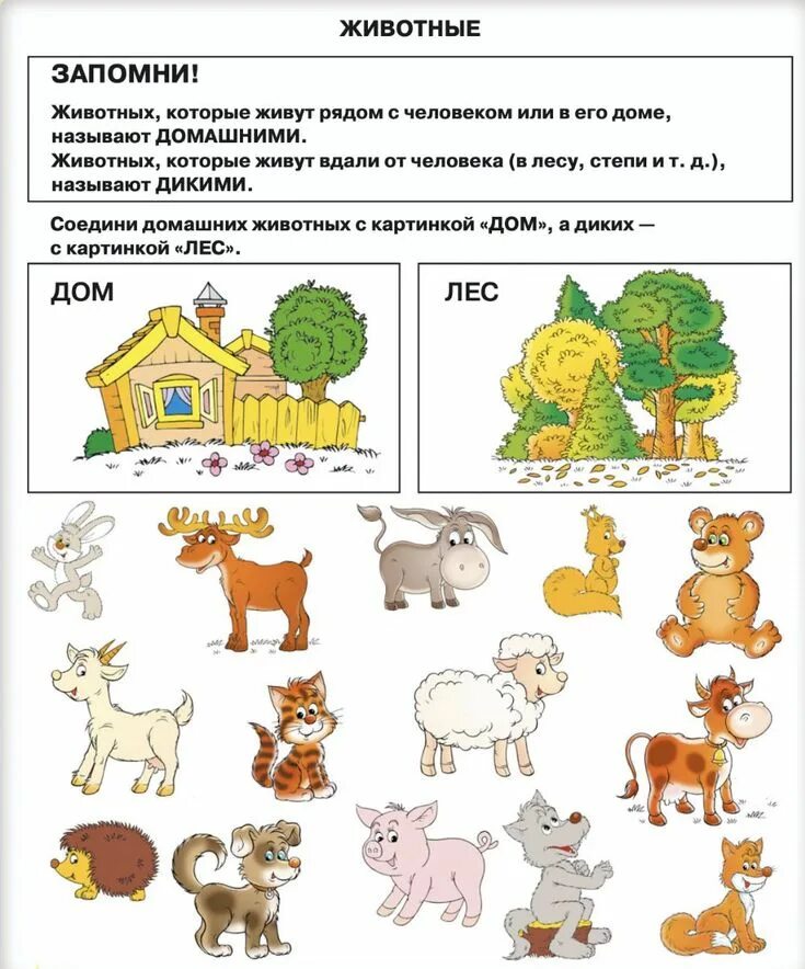 Задание про животных. Домашние животные задания. дикие и домашние животные задания для детей. задание домашние и дикие живот. домашние животные задания для дошкольников.
