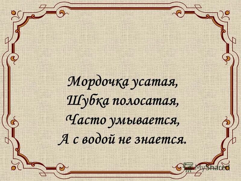 Часто умывается а с водой не знается. Мордочка усатая шубка полосатая часто умывается а с водой не знается. Мордочка усатая шубка полосатая. Усатая шубка полосатая.