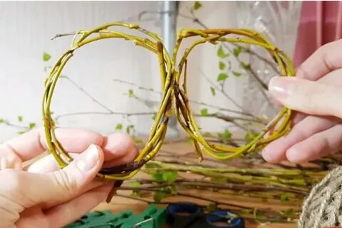 Какие ветки можно кореллам