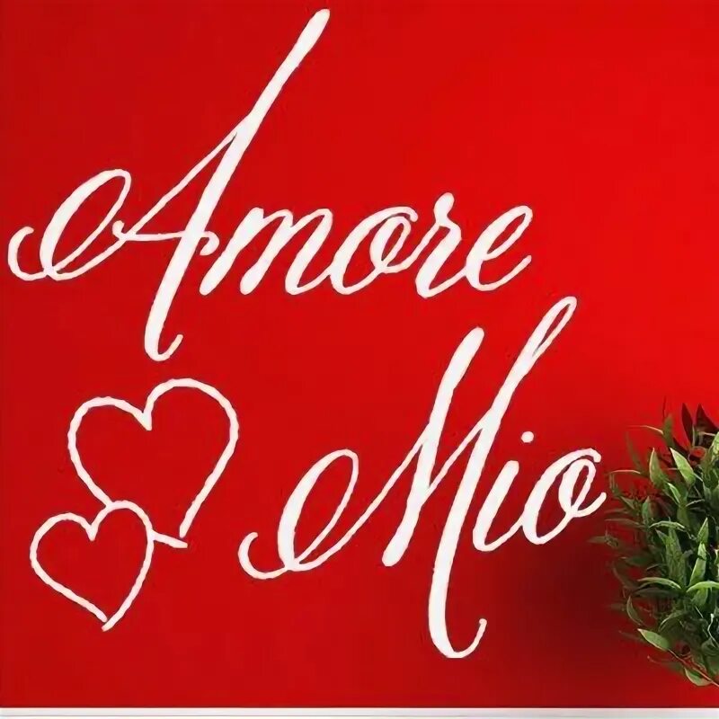 Amore язык. Аморе Мио. Amore mio картинки. Аморе Мио logo.