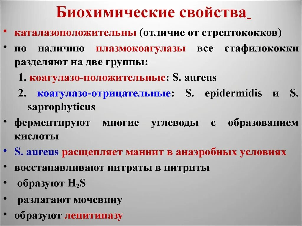 Стафилококки биохимические свойства микробиология. Биохимические свойства стафилококков. Носительство золотистого стафилококка. Стафилококк и стрептококк рисунки. Чем отличается стафилококк.