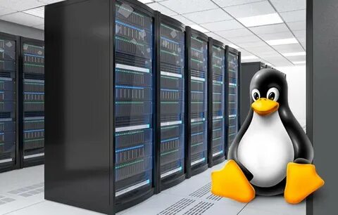Ubuntu hosting