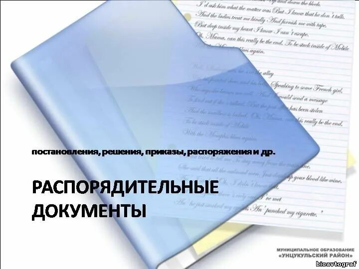 Распорядительные документы. Распорядительная документация документы. Распорядительные документы картинки. Распорядительные документы организации решения. Принимает постановления и распоряжения