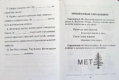 Топчу я ногой вешнюю леса красу