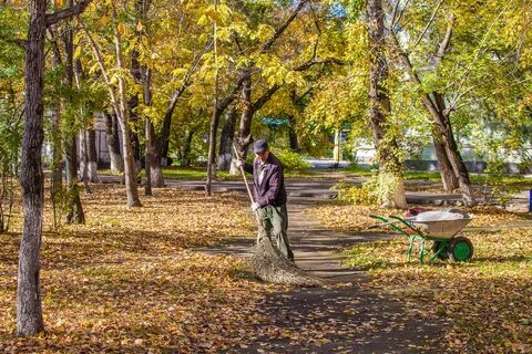 Осень 25