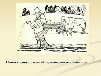 Как хлеб выращивали в старину