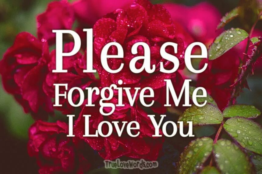 I m sorry forgive me. I m sorry forgive me. Sorry. I m sorry forgive me. I m sorry.