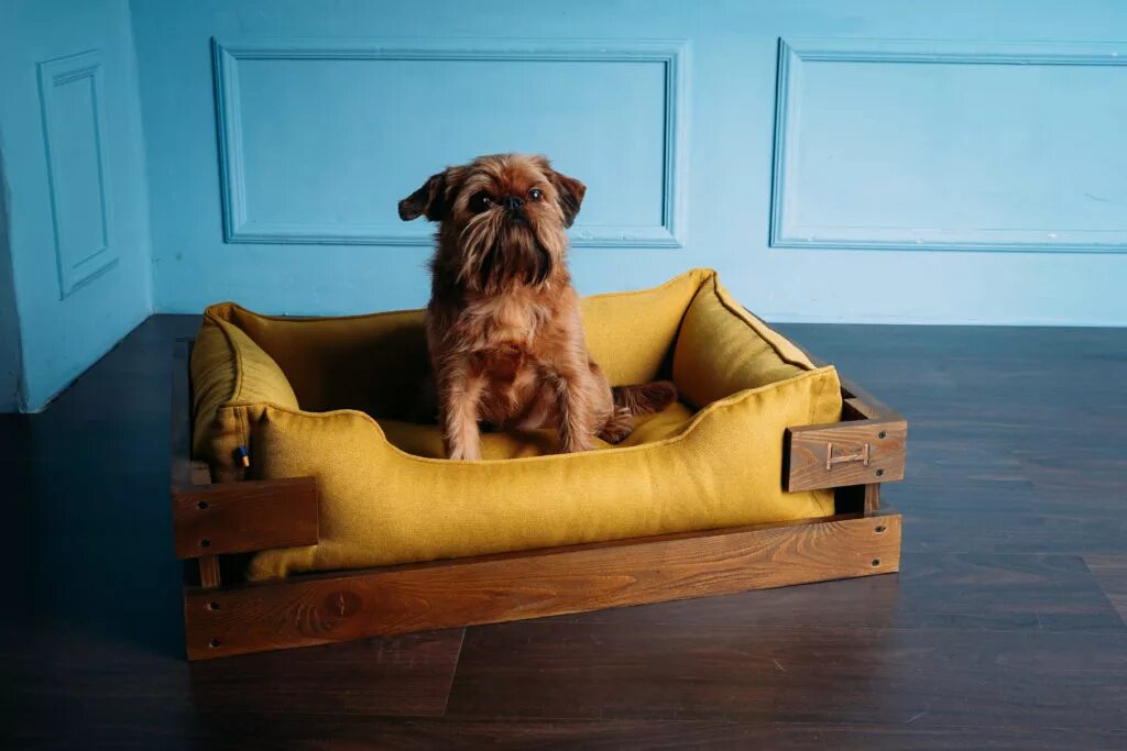 какая лежанка для собак лучше. лежанка для собак. лежак для питомца ambient lounge pet lounge для средних пород. какая лежанка для собак лучше. лежанка для собак.