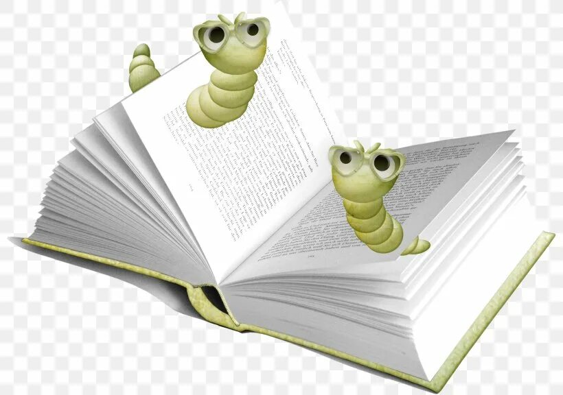 Репозитории bookworm