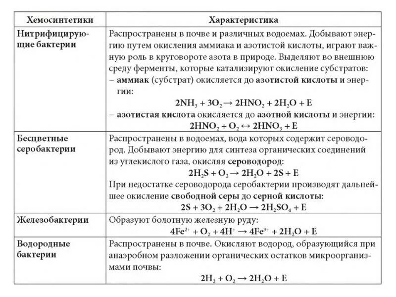 Бактерии хемосинтетики ЕГЭ. Хемосинтетики бактерии таблица. Фотосинтез и хемосинтез ЕГЭ. Хемосинтез ЕГЭ. Хемосинтезирующие бактерии характеризуются