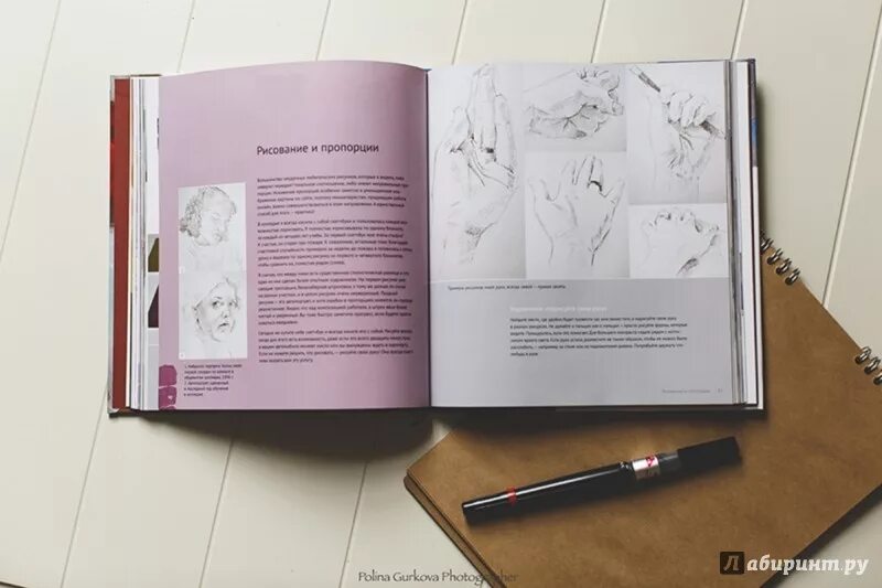 Книга ни дня без кисти купить. Ни дня без кисти. Ни дня без кисти. Книга ни дня без кисти купить. Ни дня без кисти.