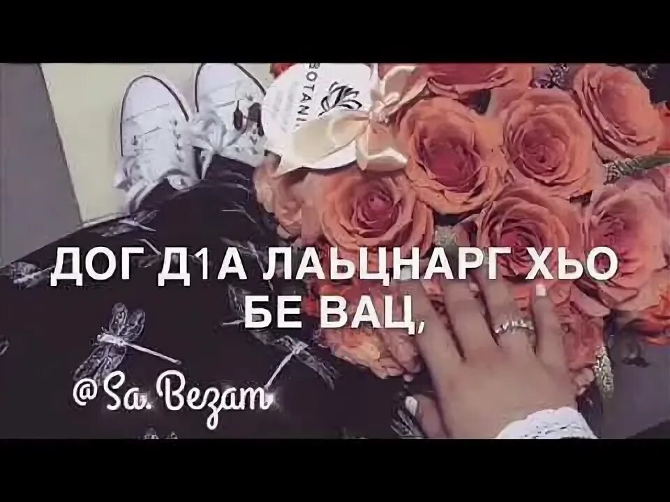 Малхал хаза ю хьо батал. Малхал хаза ю хьо батал