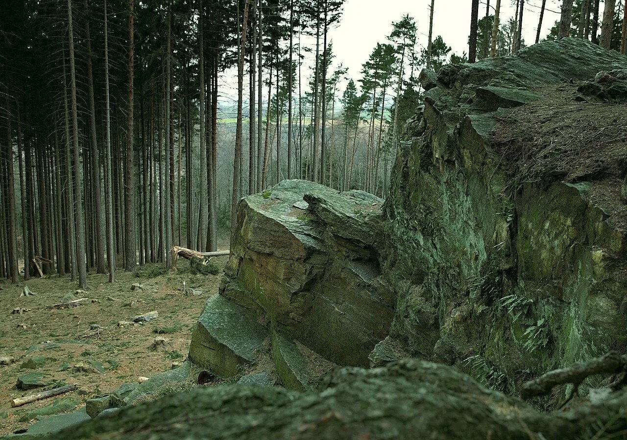 Лес Вереск ручей Шотландия. Камень в лесу. Скала в лесу. Валун в лесу. Зарастание скалы